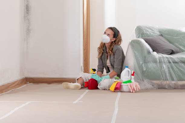 Reliable Mold Testing contractor in Mineola, TX by WQB Mold Removal